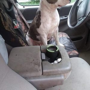 Meet your Posher, Brian